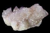 Cactus Quartz (Amethyst) Crystal Cluster - South Africa #137796-1